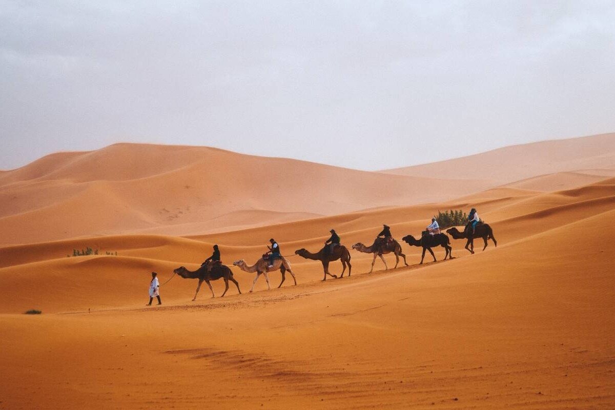 Bridge to Morocco - 카사블랑카 - Bridge to Morocco의 리뷰 - 트립어드바이저