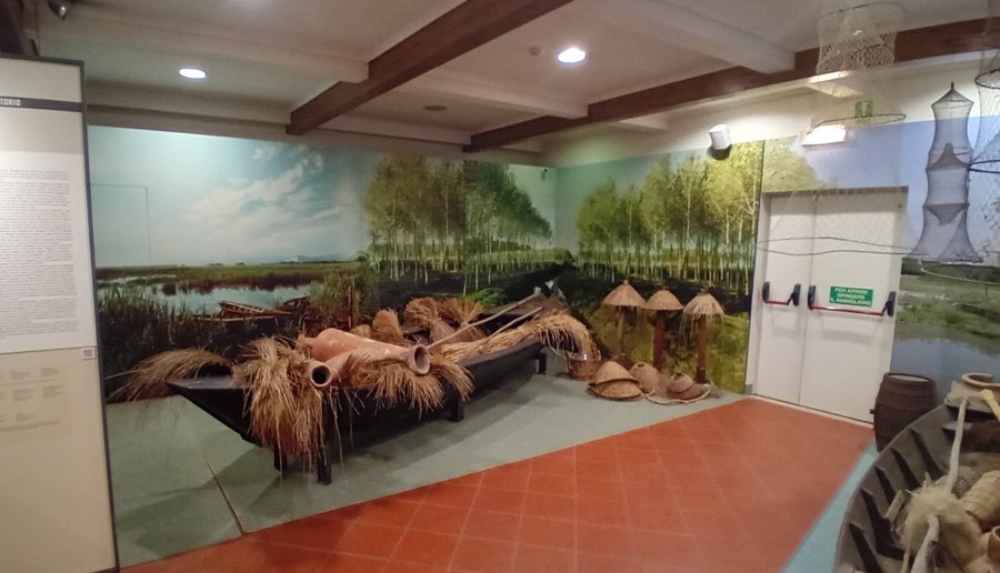 la sala dedicata al Padule di Fucecchio
