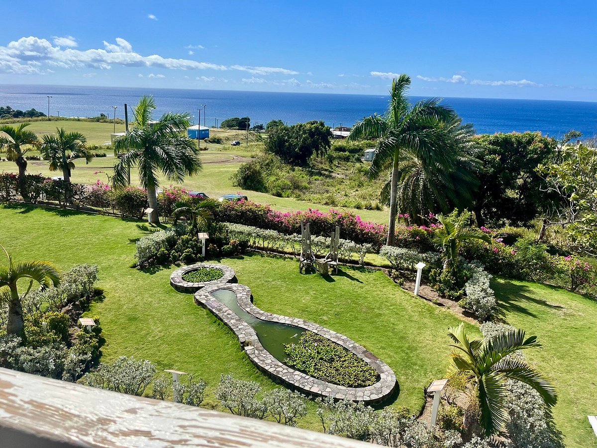 Taking a Yoga Class at the Botanical Garden - Casacol