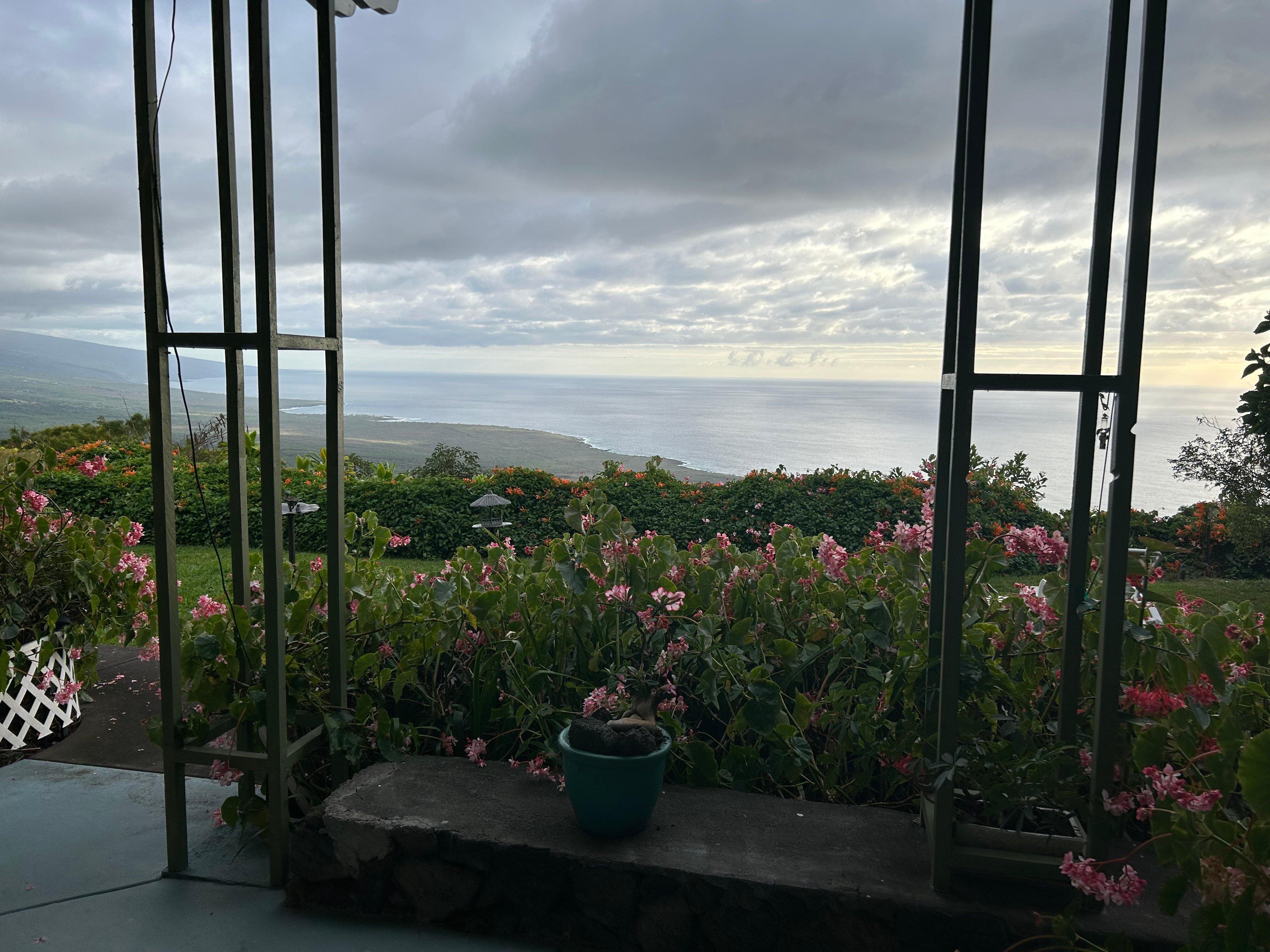 BELLE VUE KONA B&B (Hawái/Isla De Hawai): Opiniones Y Precios