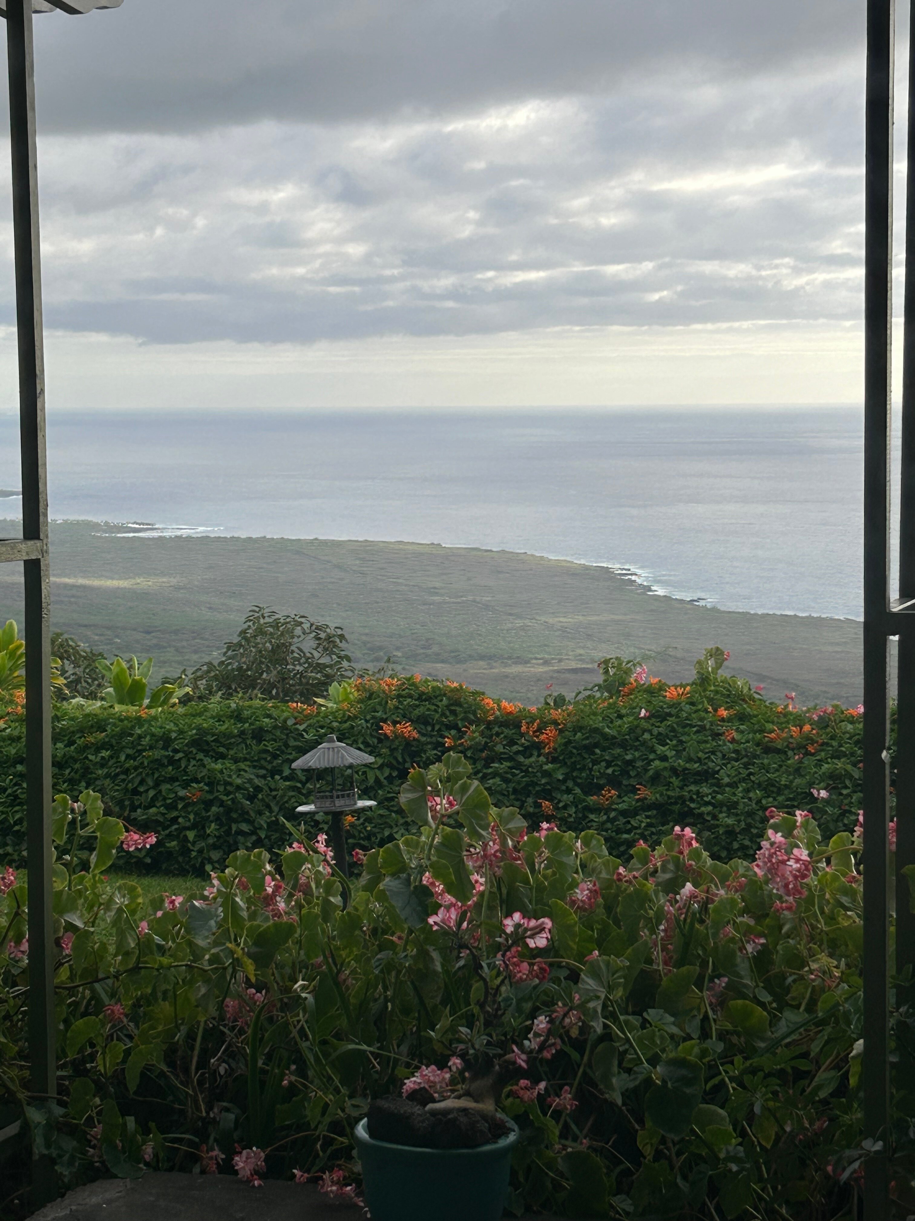 BELLE VUE KONA B&B - Updated 2024 Prices & Reviews (Hawaii/Captain Cook)