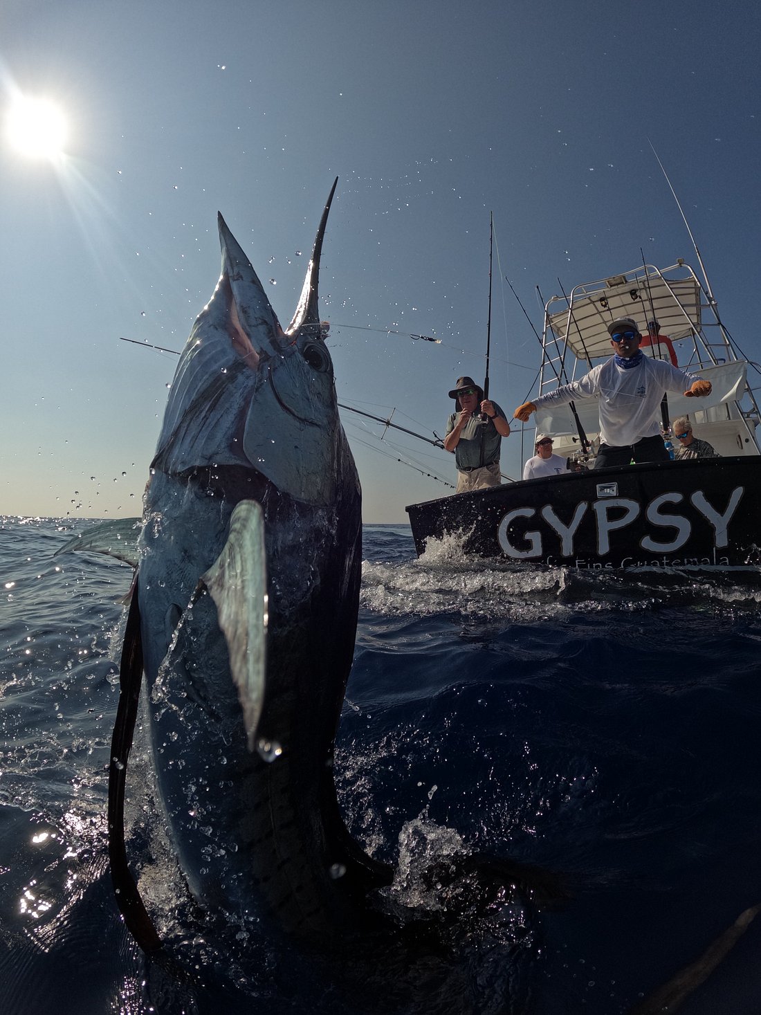 marlin Archives - Pacificfins Resort