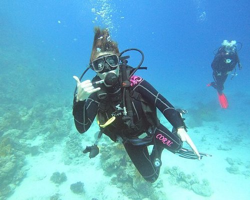 ABPHQTO Sea Shark Fish Corals Underwater Ocean Funda de almohada