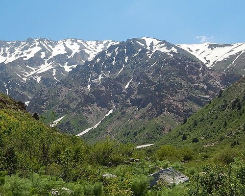 wilderness travel uzbekistan