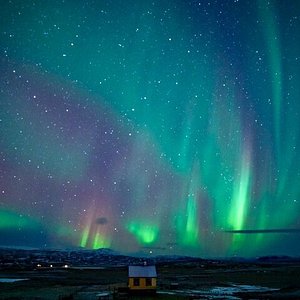 Islanda: Tour in autobus dell'aurora boreale da Reykjavik