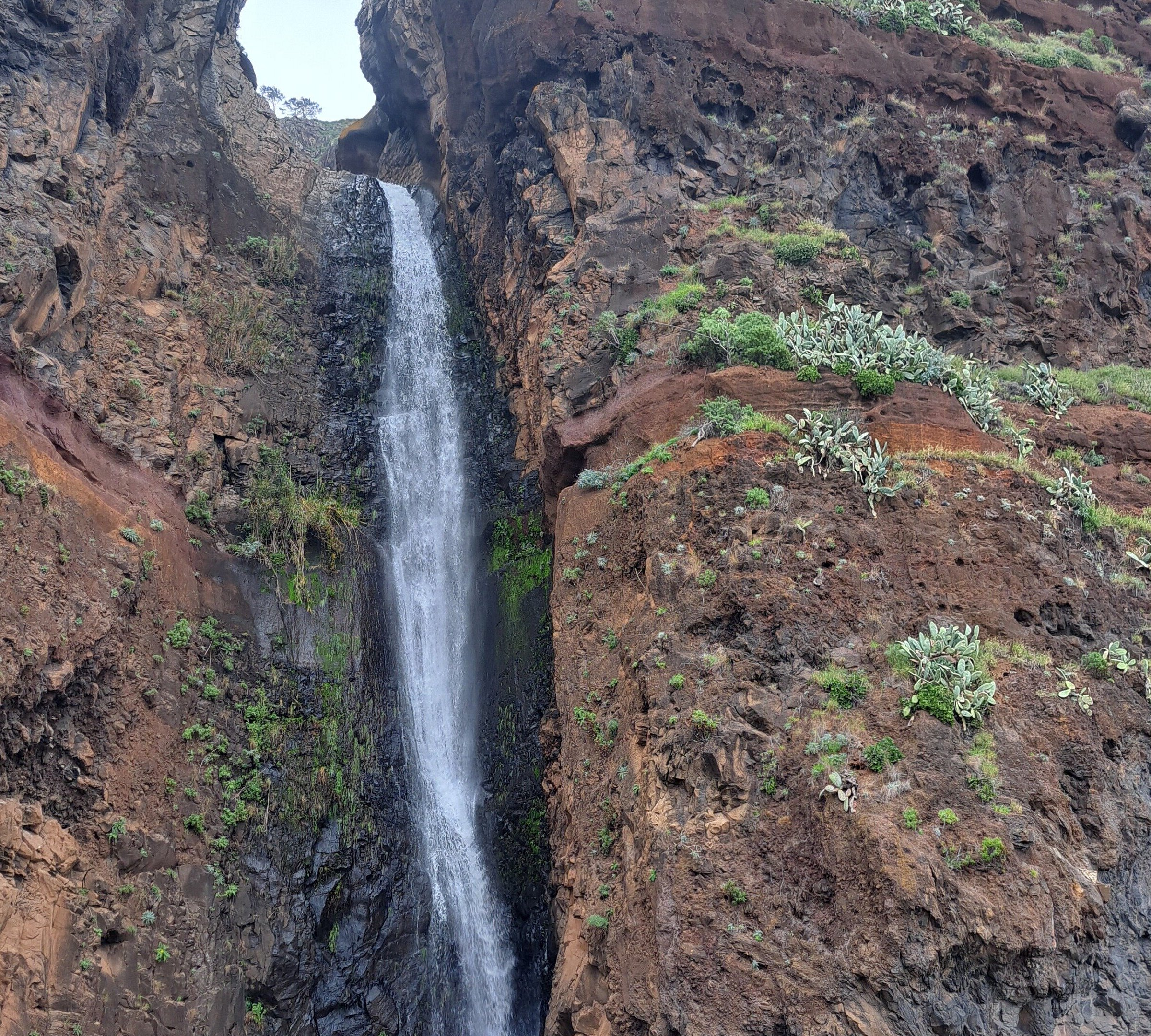 madeira day trips tripadvisor