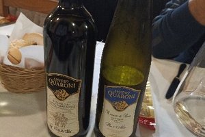 Bebidas