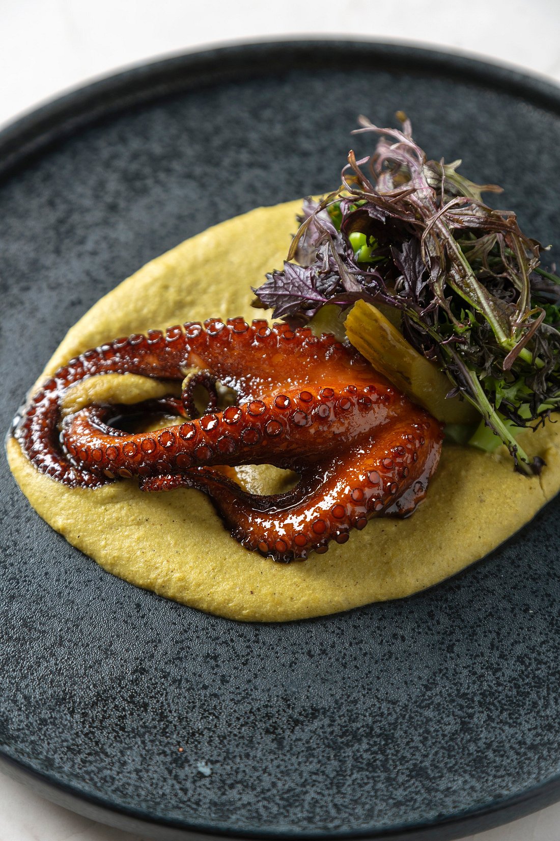 Pulpo en pipián verde
