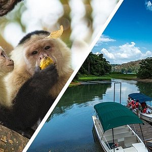 2024 Panama Canal and Monkey Island - Fresh Water Fishing Tour