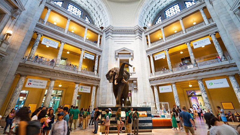 Lobby at the Smithsonian National Museum of Natural History, in Washington, D.C.