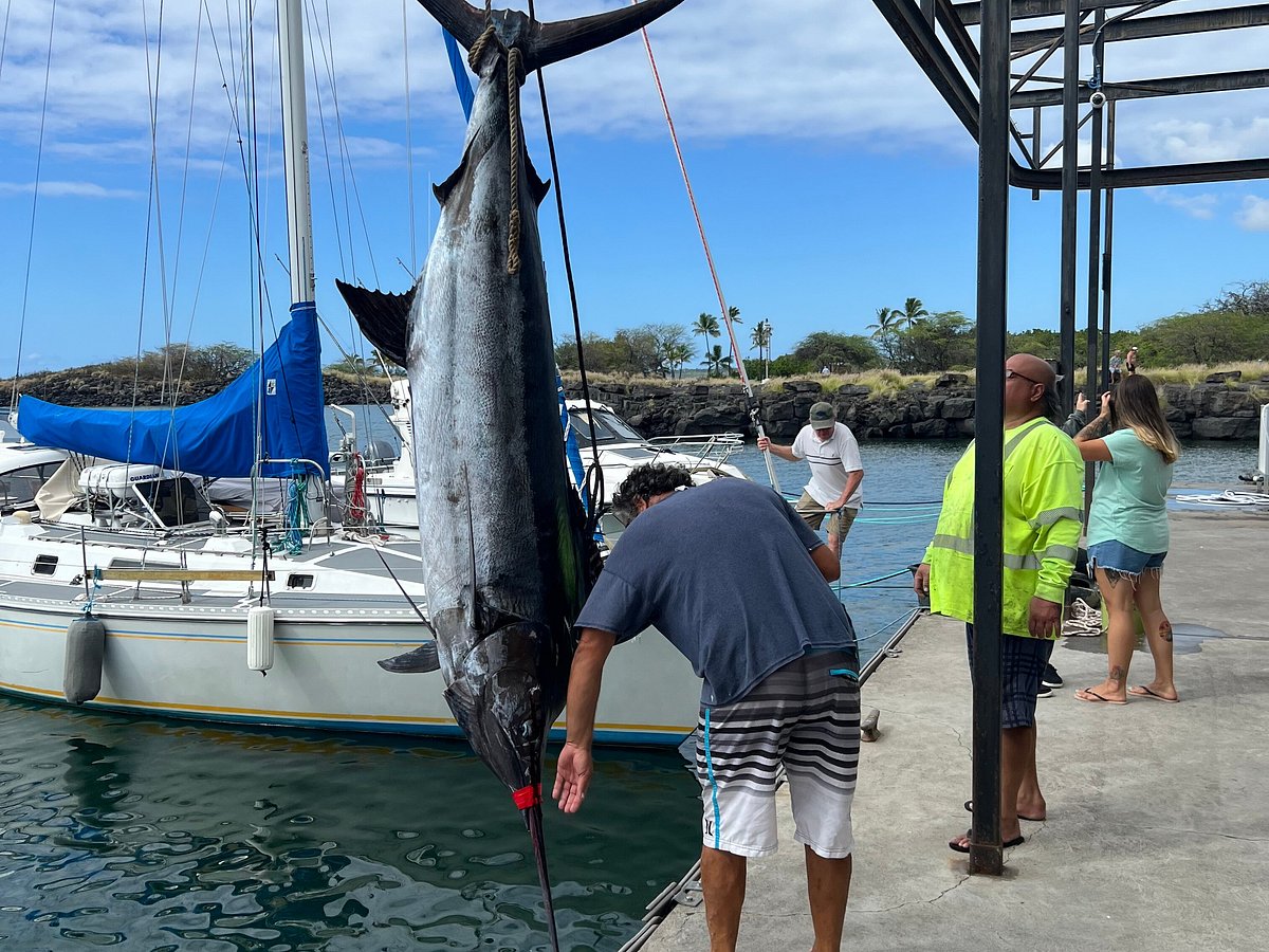 Camelot Kona Fishing Charters - Hawaii Fishing Charters