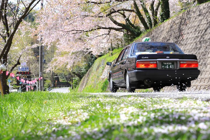 2024年 道の駅 芸能とトキの里 - 出発前に知っておくべきことすべて - トリップアドバイザー