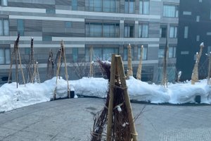旅行者の写真