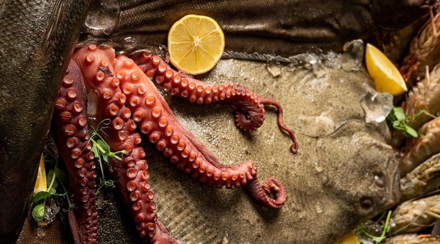 Seafood 