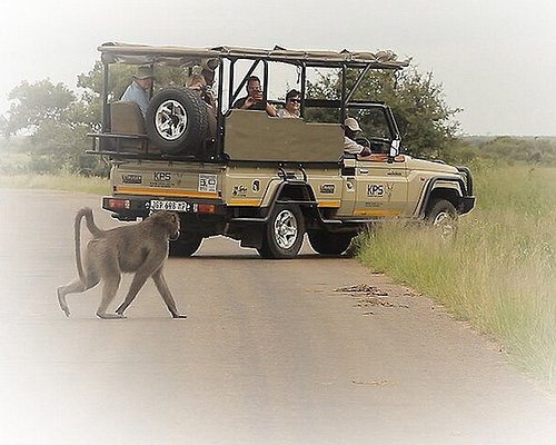 kruger safari holidays