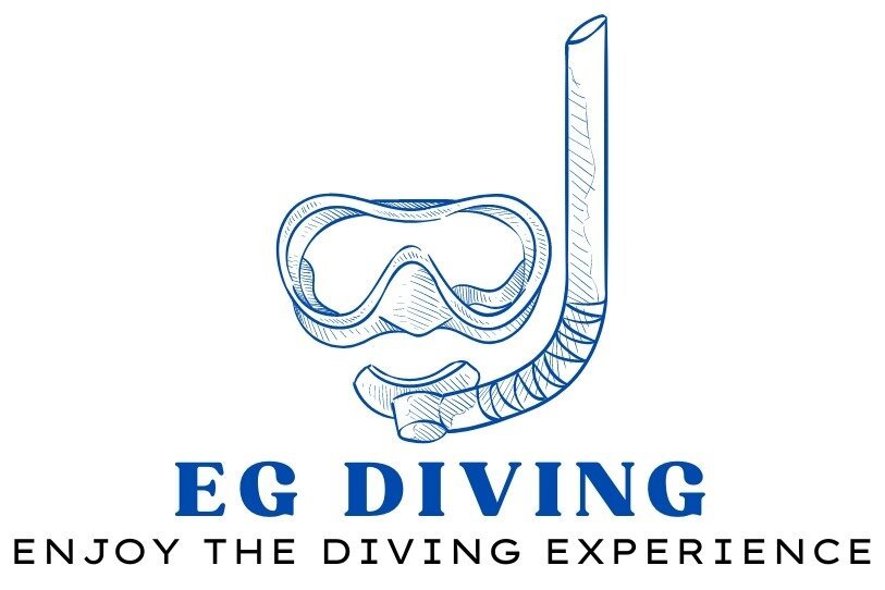 EG DIVING SHARM (Sharm El Sheikh): Ce qu'il faut savoir pour votre ...