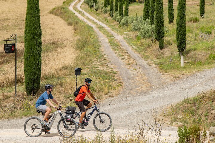 THE 5 BEST Province of Arezzo Bike Tours Updated 2024