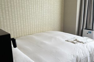 旅行者の写真