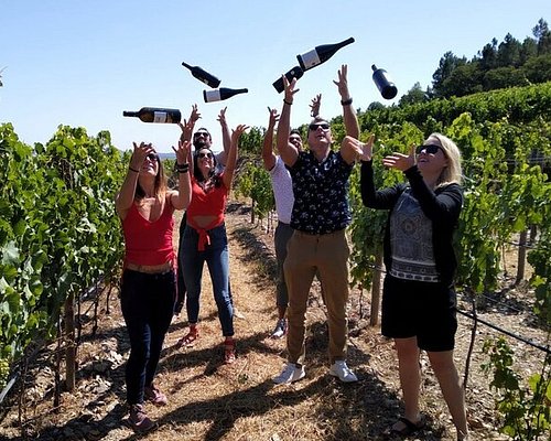 portugal wine tours