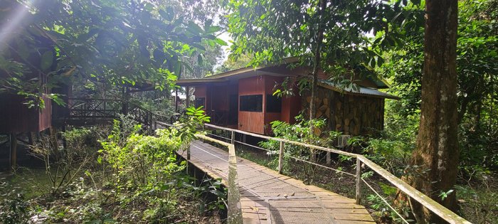 BILIT ADVENTURE LODGE - Prices & Reviews (Sandakan, Sabah, Malaysia)