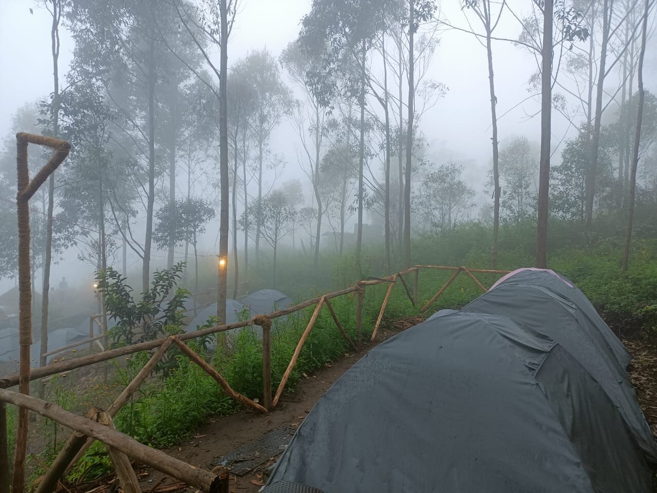 TRIP2KERALA KOLUKKUMALAI TENT STAY (Kerala) - Campground Reviews ...