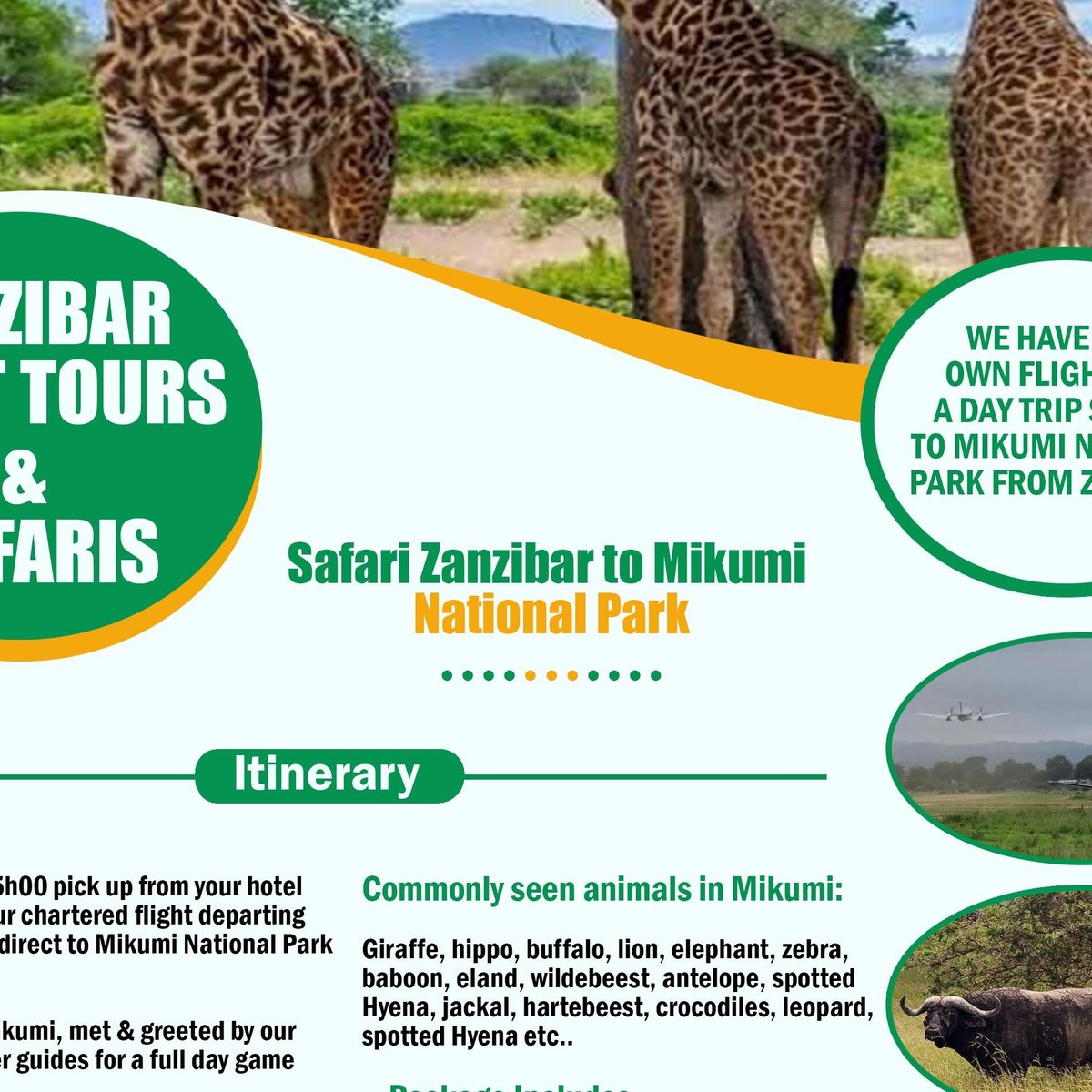 Day Trip Safari To Mikumi National Park From Zanzibar By Flight 