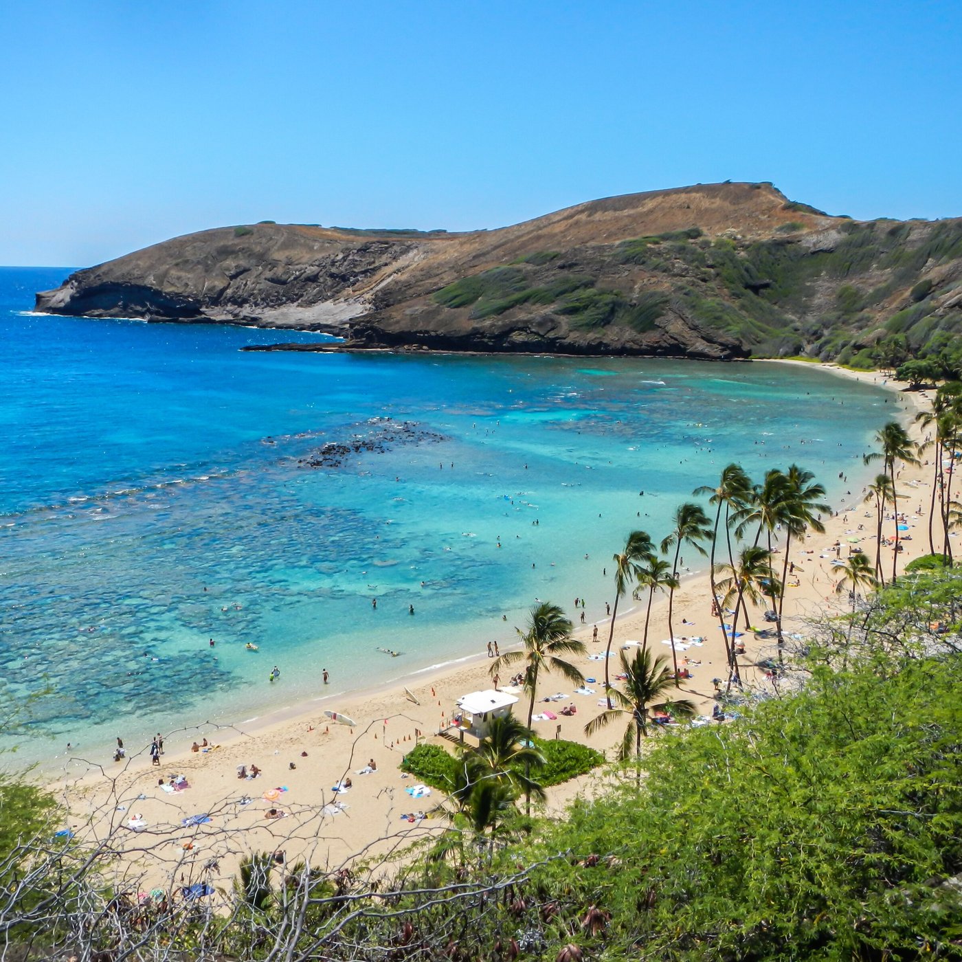 Hawaii Cool Hang Loose Honolulu Teens Apparel Clothing Beach