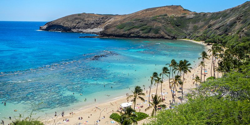 Bird's-eye view of Hanauma Bay's blue and turquoise waters and people lining the beach