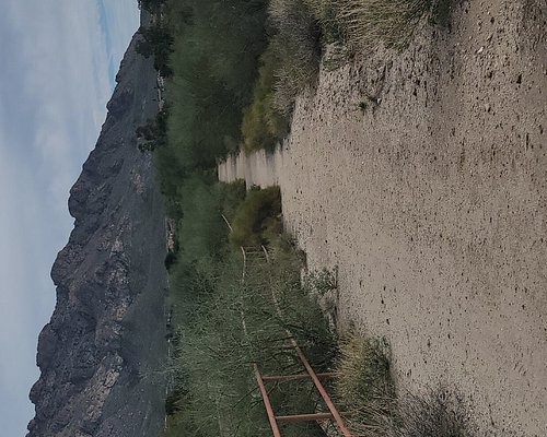 Oro Valley Address