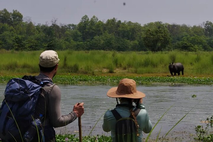 2024 (Sauraha) 4 Days 3 Nights in Chitwan National Park Jungle Trek ...