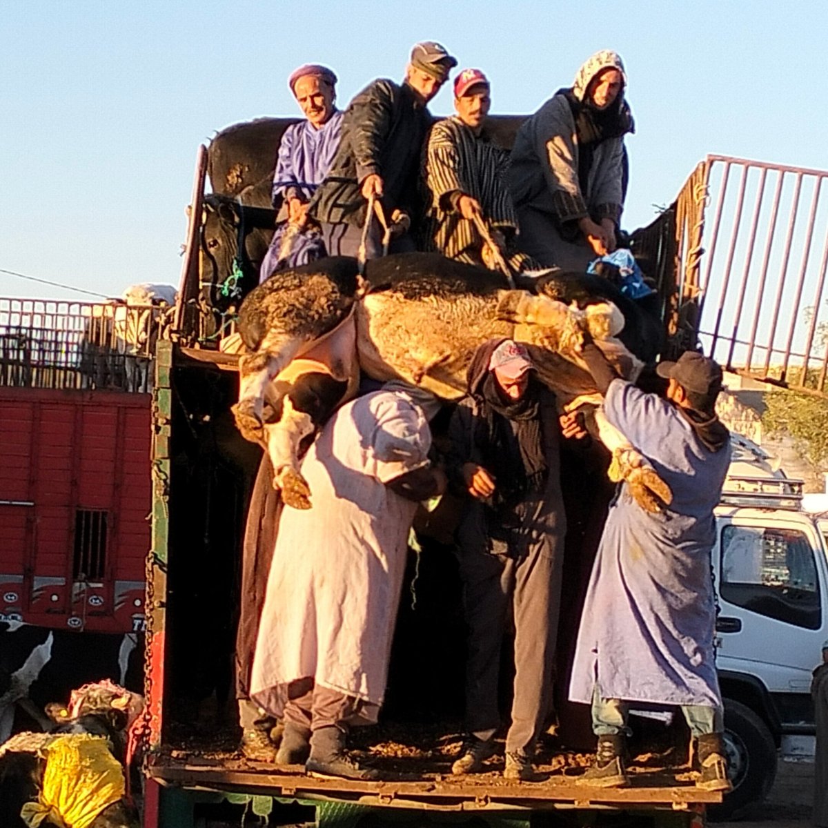 Uncover Hidden Gems taxi marrakech to essaouira - Where to Stay in Essaouira