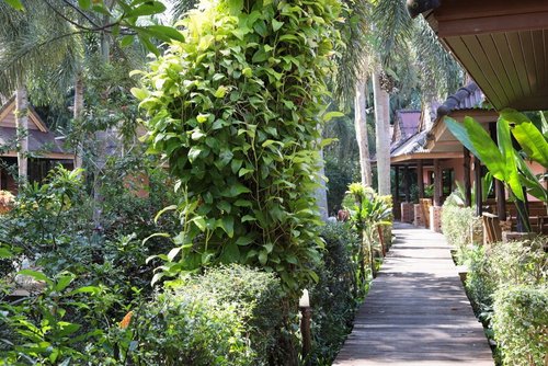 SUNDA RESORT $24 ($̶3̶8̶) - Prices & Reviews - Krabi/Ao Nang