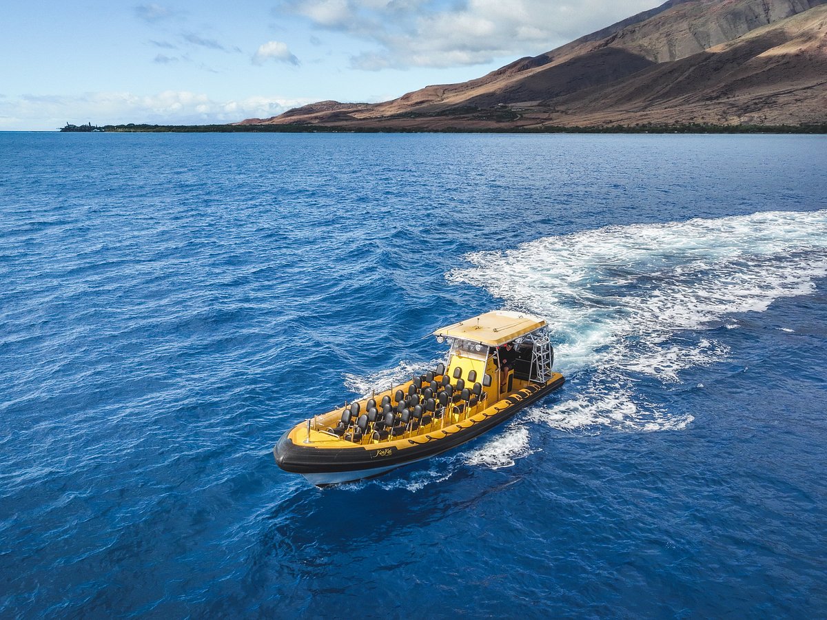 New Maui Fishing Supply - Diving equipment Wailuku, HI
