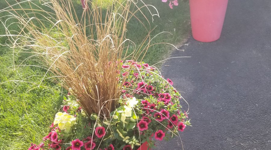 Espace jardin où il fait bon relaxer.