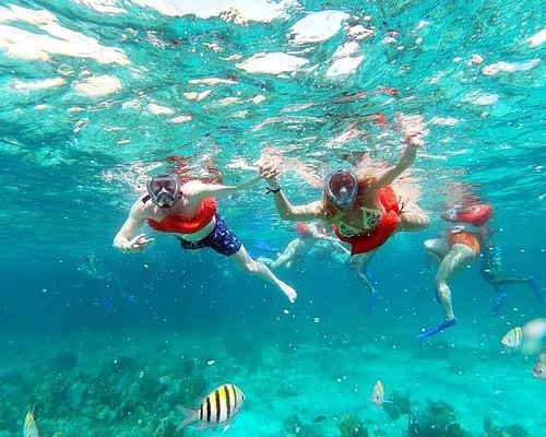 excursions in jamaica reviews