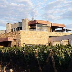 zuccardi wine tour