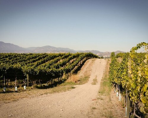best wine tours in bc
