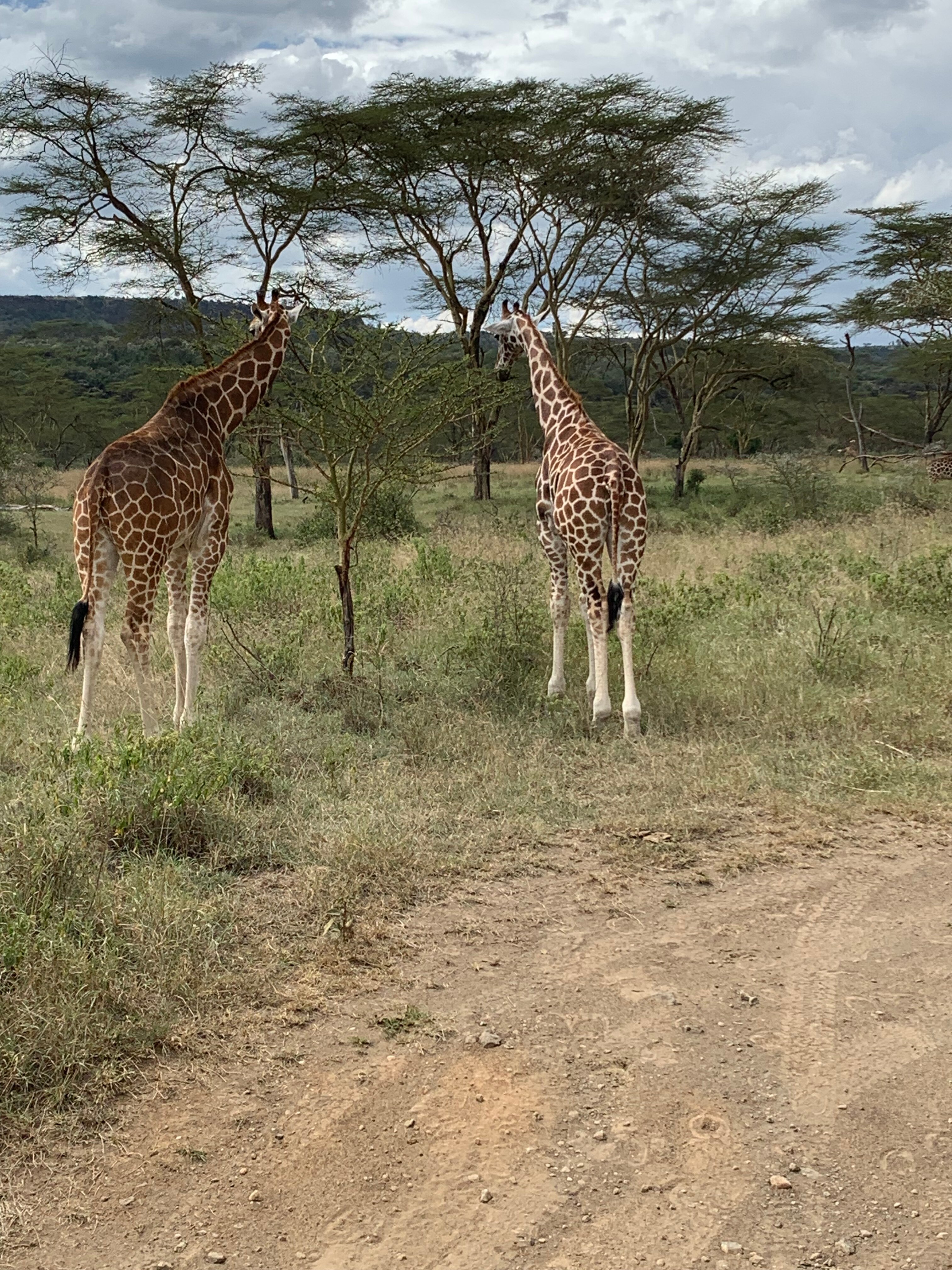 Seven By Far Tours Travel Kenya All You Need to Know BEFORE