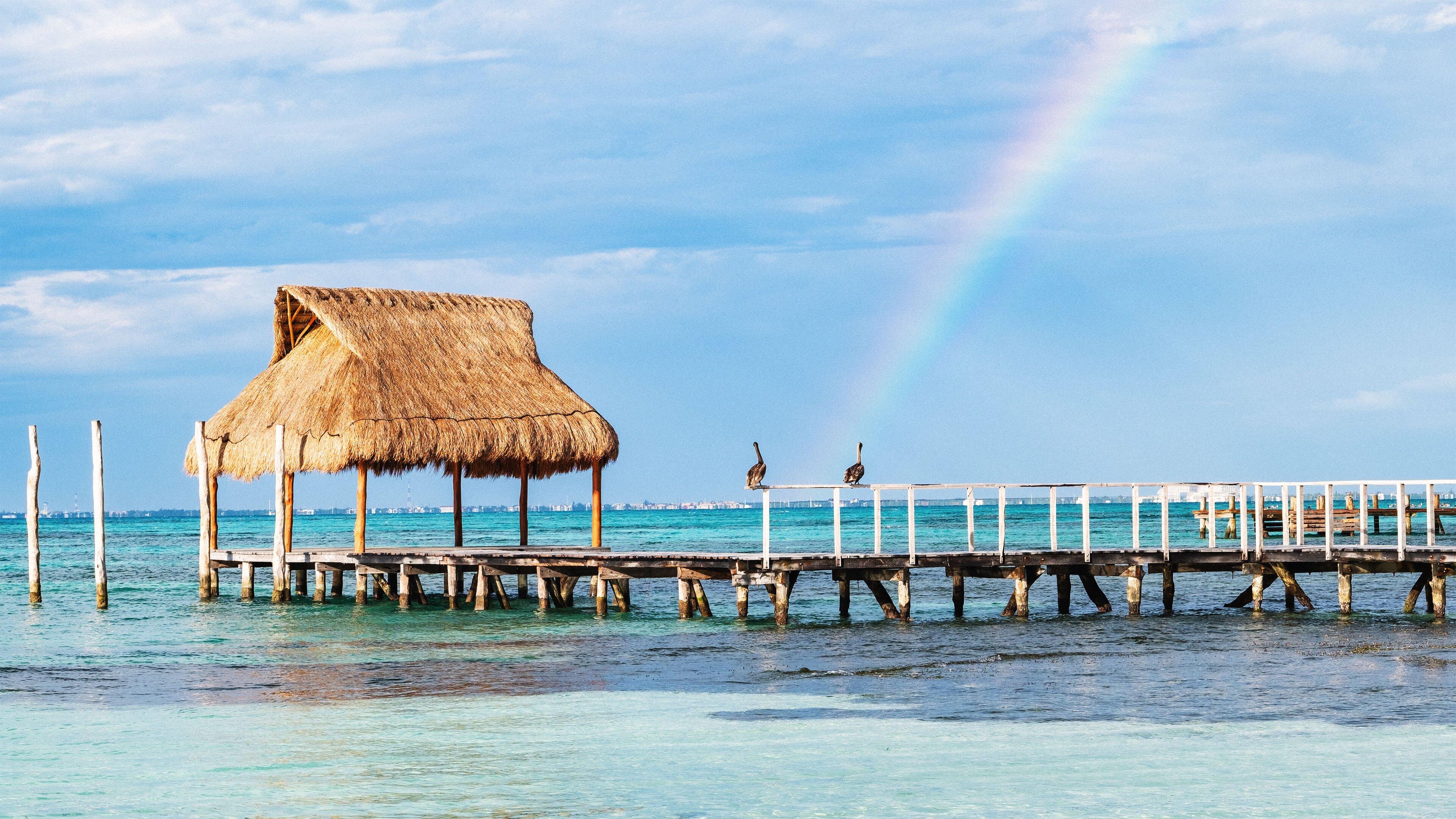 ALBERTO'S BEACH BAR & RESTAURANT, Cozumel - Updated 2024 Restaurant ...