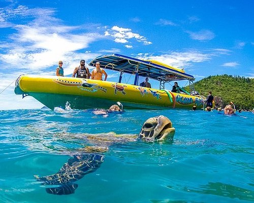hamilton island cruises tours activities