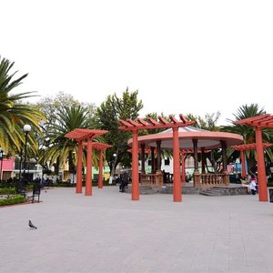 Local Attraction