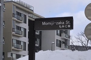 旅行者の写真
