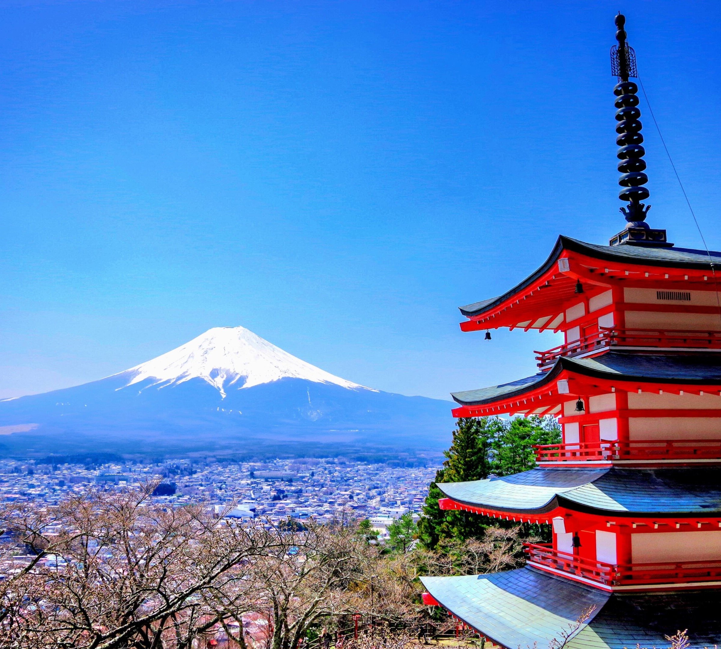 Tour Japan (Minato): Address, Phone Number - Tripadvisor