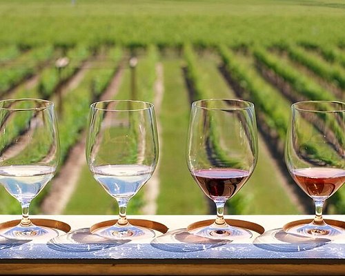 winery tours niagara on the lake packages