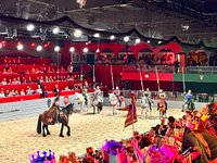 Medieval Times Dinner & Tournament - All You Need to Know BEFORE