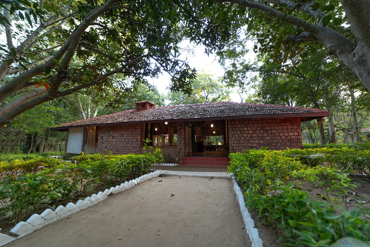 TIGER TRAILS RESORT (Tala, Madhya Pradesh) - Resort Reviews, Photos, Rate  Comparison - Tripadvisor