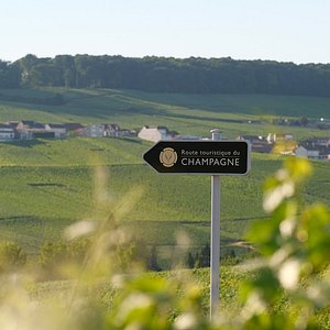 moet chandon winery tour