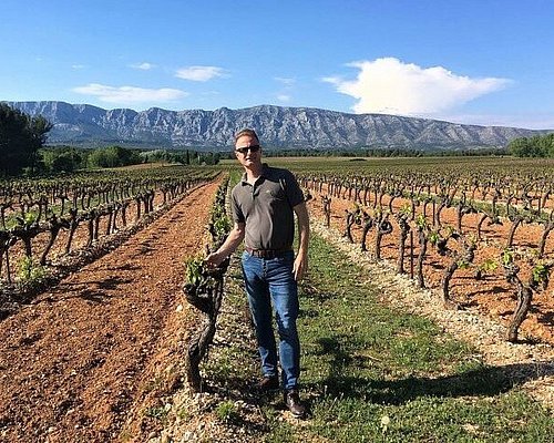 vineyard tours aix en provence