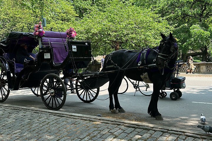 2025 Carriage Ride in Central Park (VIP - PRIVATE) Since