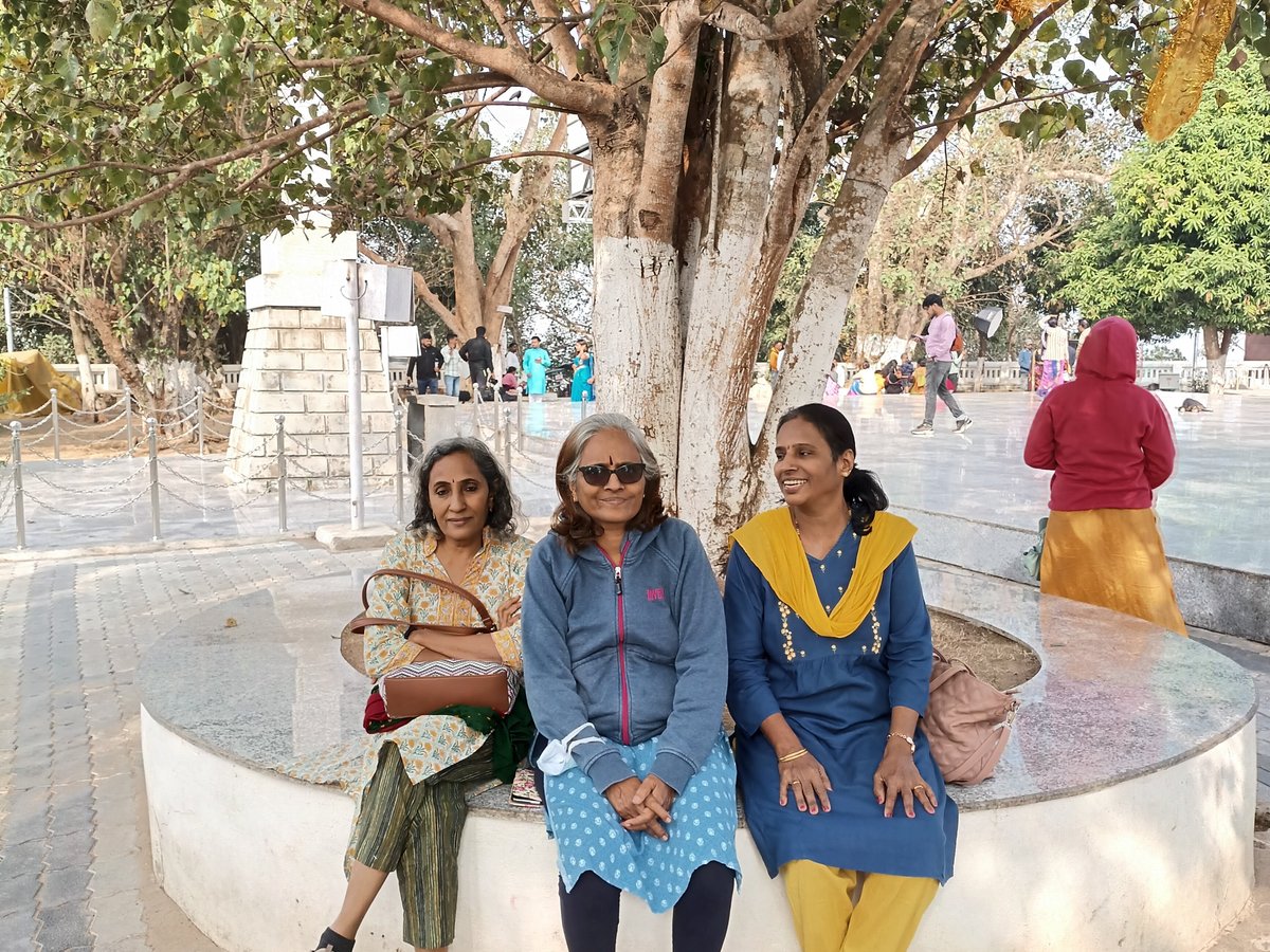 Book my trip india 2025 all you need to know before you go with